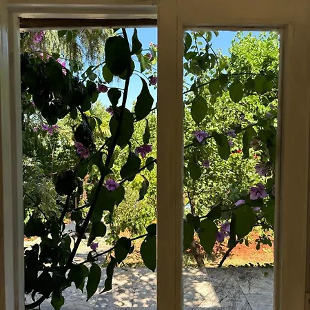 בית נופש In Touch With Nature In Bueyuekada *