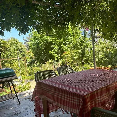 In Touch With Nature In Bueyuekada * Adalar
