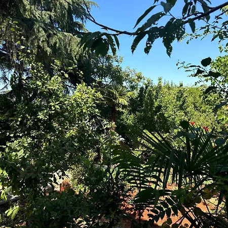 In Touch With Nature In Bueyuekada Ferienhaus *